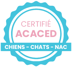 Attestation de Connaissances pour les Animaux de Compagnie d’Espèces Domestiques