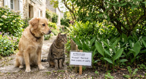 Chien et chat avec Muguet